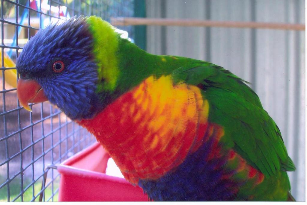 Batemans Bay Holiday Park & Hostel Luaran gambar